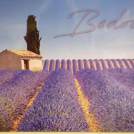 Au Pied Du Mont Ventoux *